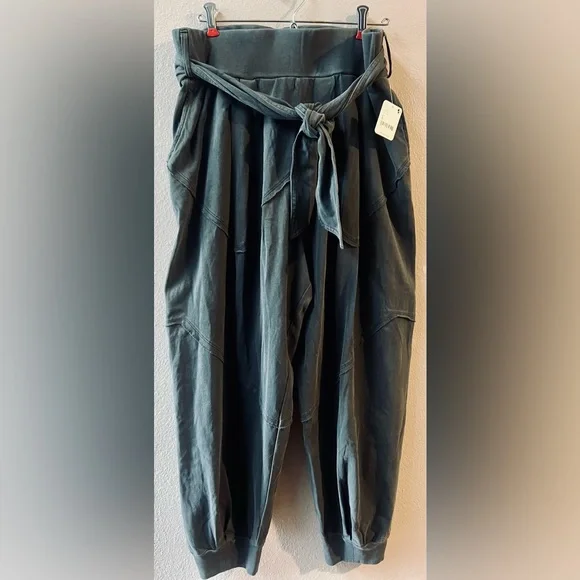 FREE PEOPLE EXPOSED SEAM ATTACHED SASH BAGGY JOGGERS SIZE L~NWT - Picture 2 of 7
